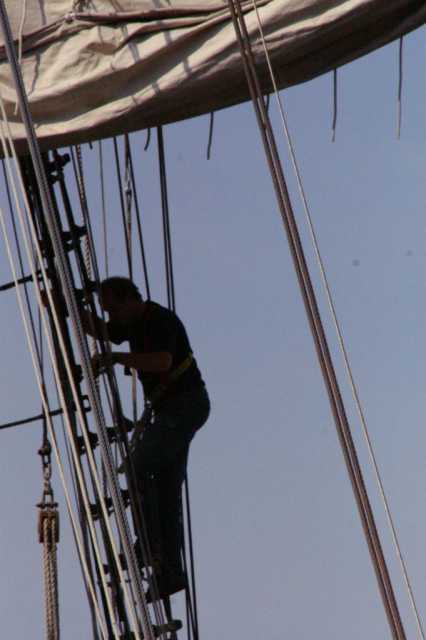 PICT0204.JPG
