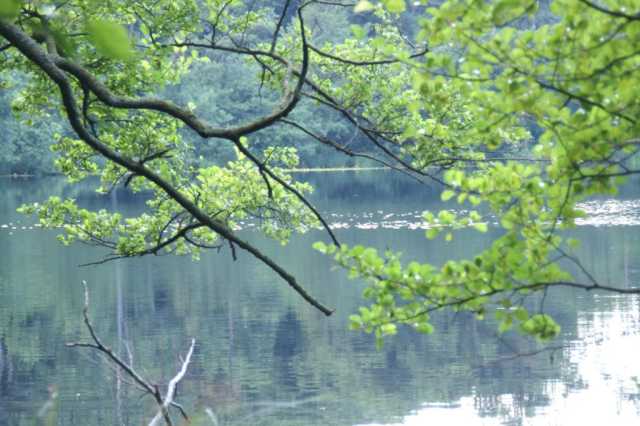 PICT0318.JPG