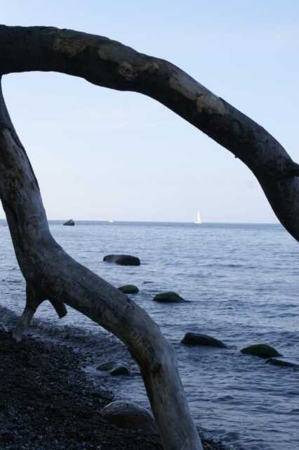 PICT0356.JPG