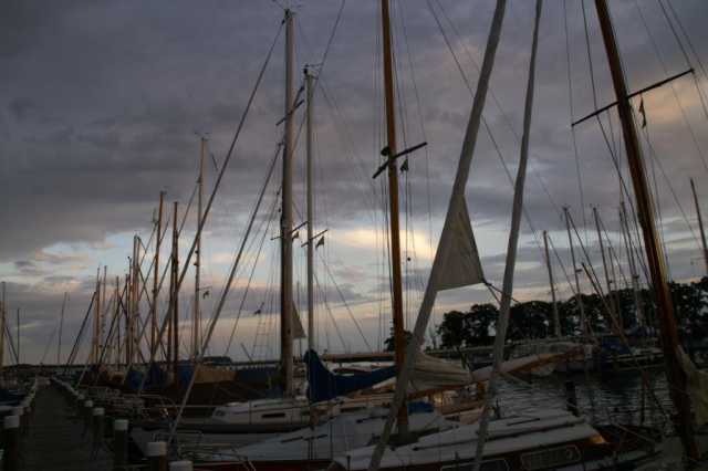 PICT0557.JPG