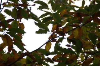 PICT3208.JPG