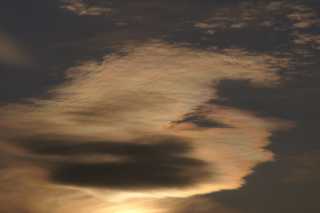 PICT3318.JPG