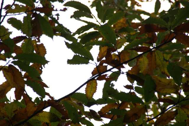 PICT3208.JPG