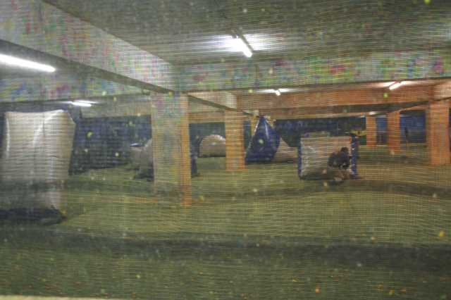 PICT3513.JPG