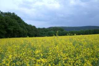 PICT0178.JPG