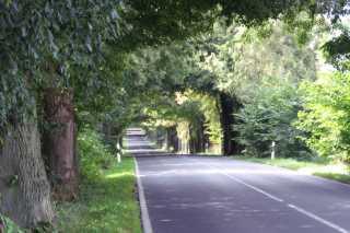 PICT0294.JPG