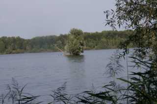 PICT1252.JPG