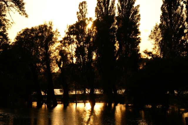PICT0083.JPG