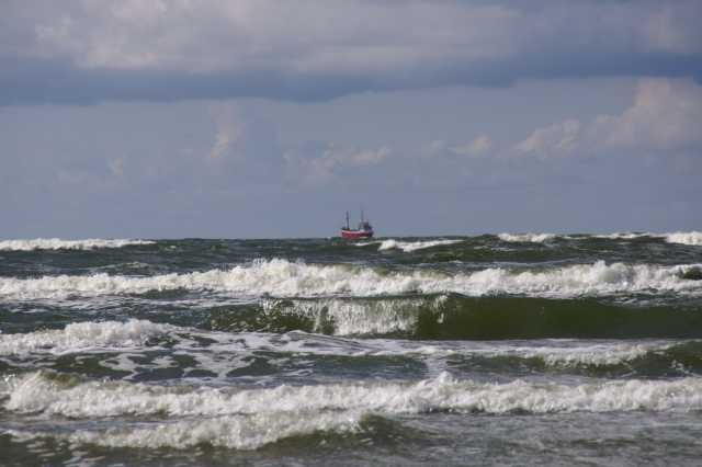 PICT0156.JPG