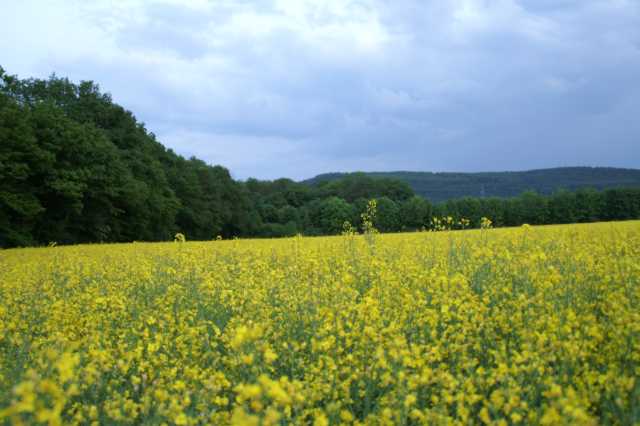 PICT0178.JPG