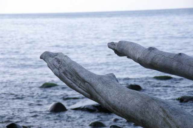PICT0367.JPG