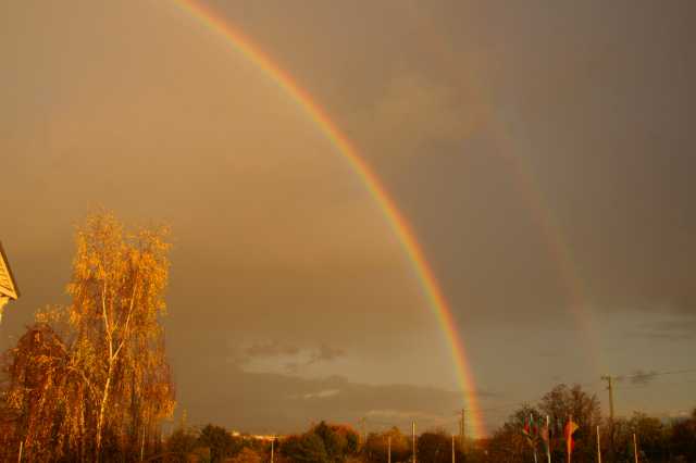 PICT0396.JPG