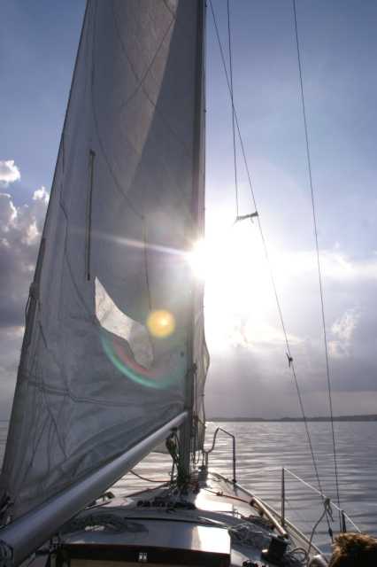 PICT0537.JPG