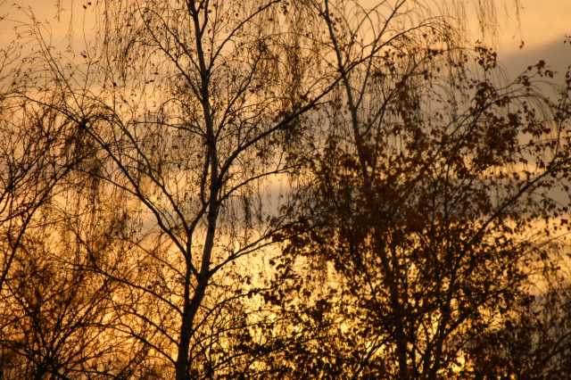 PICT4947.JPG