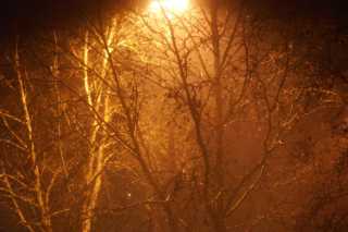 PICT_8330.JPG