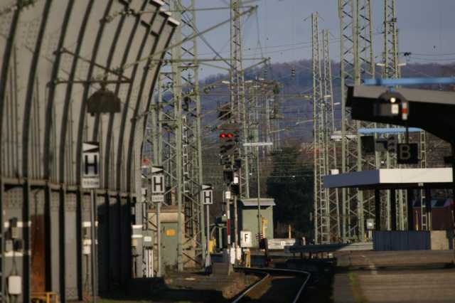 PICT8279.JPG