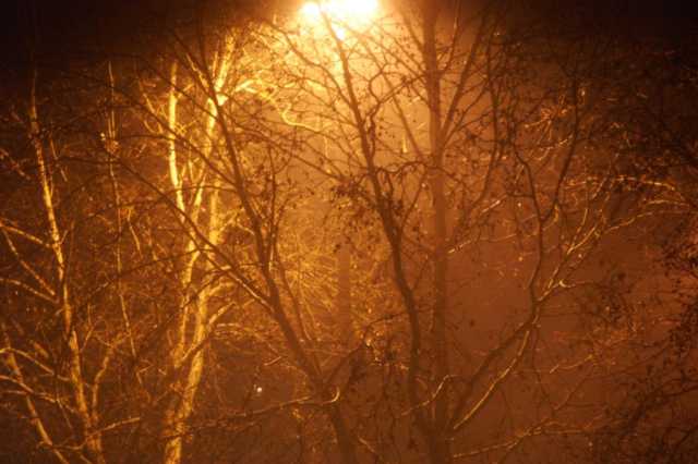 PICT_8330.JPG