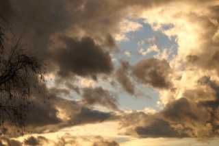 PICT8993.JPG