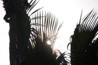 pict9443.jpg