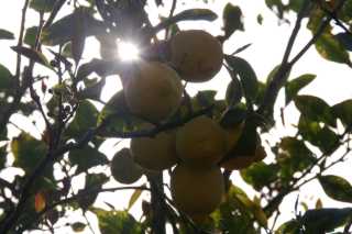 pict9447.jpg