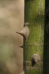 pict9482.jpg