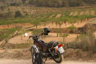 pict9667.jpg