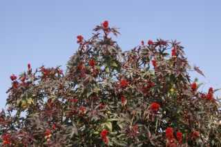 pict9812.jpg