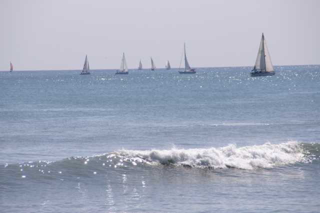pict9292.jpg