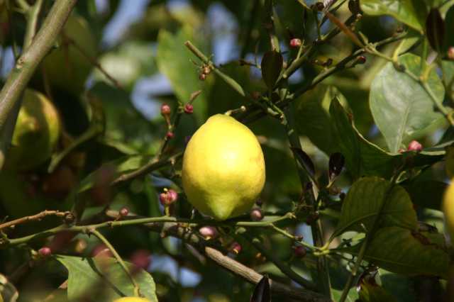 pict9401.jpg