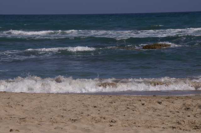 pict9584.jpg