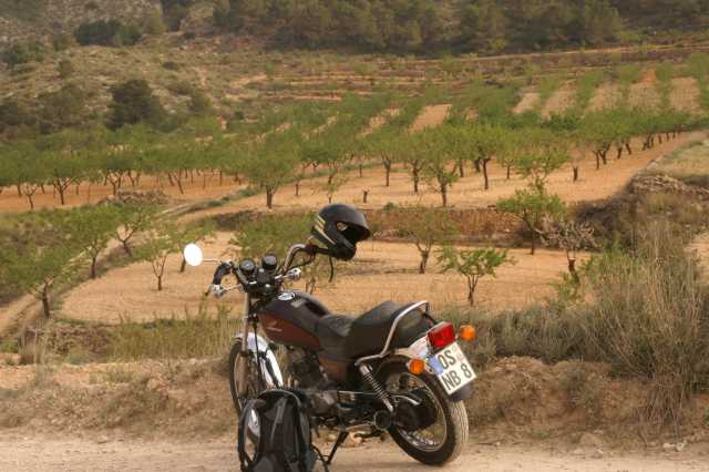 pict9667.jpg