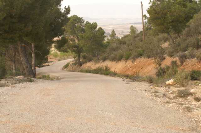pict9708.jpg