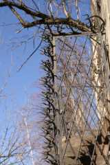 PICT9084.JPG