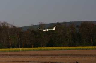 PICT0781.JPG