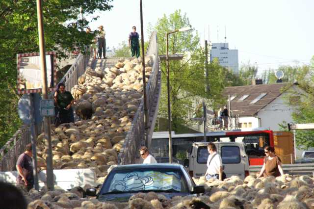 PICT0690.JPG