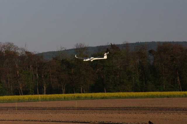PICT0781.JPG