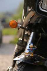 pict0854.jpg