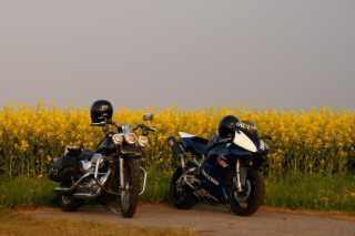 pict0871.jpg
