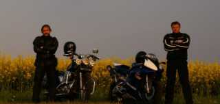 pict0874.jpg