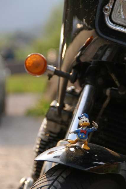 pict0854.jpg