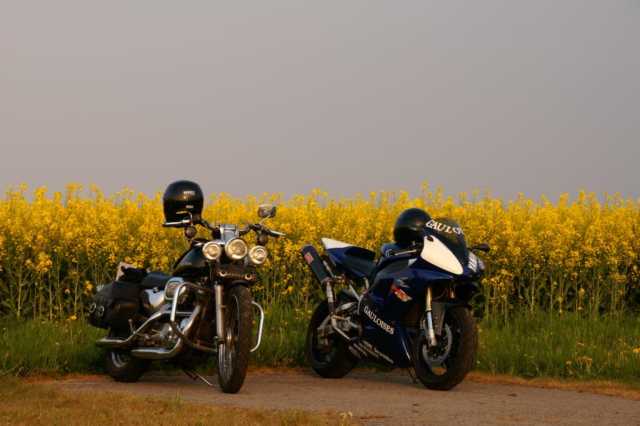 pict0871.jpg