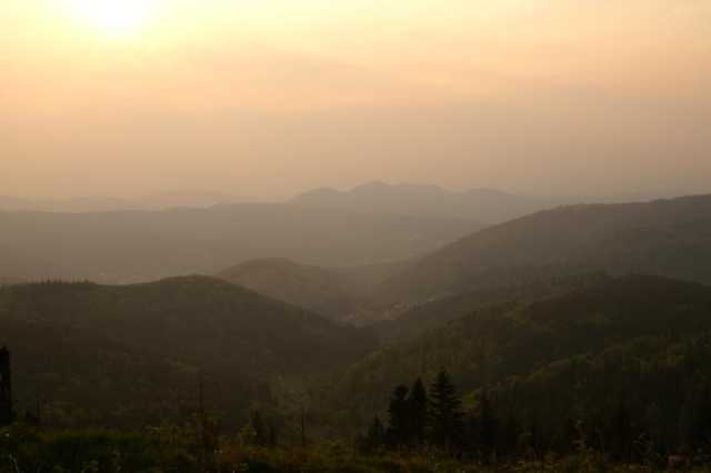 pict0881.jpg