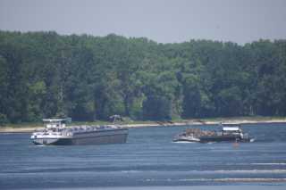 pict0978.jpg