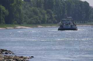 pict1193.jpg