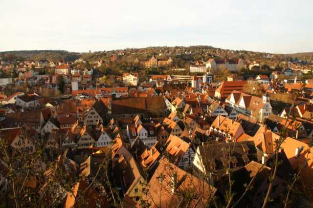 pict0374.jpg