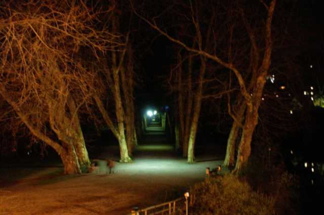pict0455.jpg