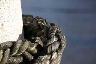 pict1362.jpg