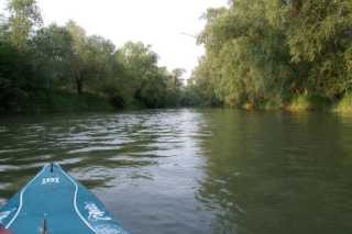 pict2119.jpg