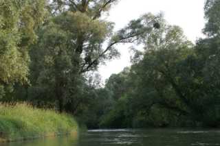pict2123.jpg