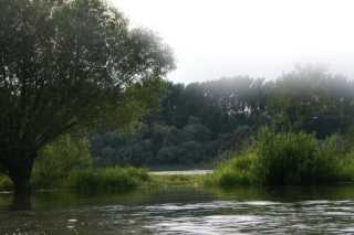 pict2231.jpg